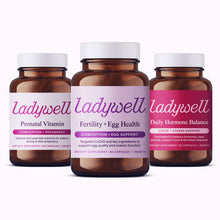 Load image into Gallery viewer, The Complete Fertility Plan